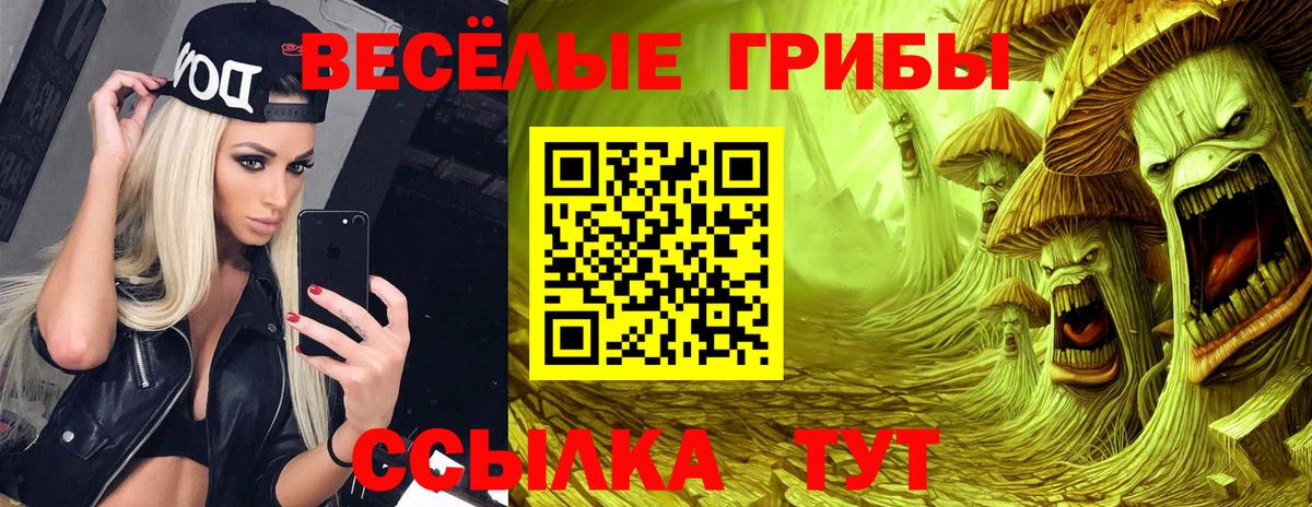Галлюциногенные грибы прущие грибы  Вход с VPN  Борисоглебск 
